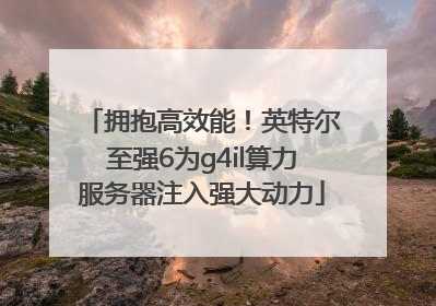 拥抱高效能！英特尔至强6为g4il算力服务器注入强大动力