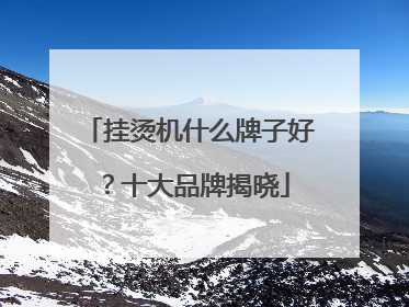 挂烫机什么牌子好？十大品牌揭晓
