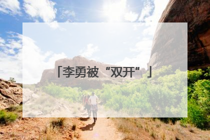 李勇被“双开”