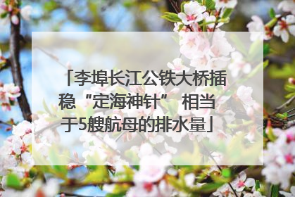李埠长江公铁大桥插稳“定海神针” 相当于5艘航母的排水量