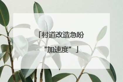 村道改造急盼“加速度”