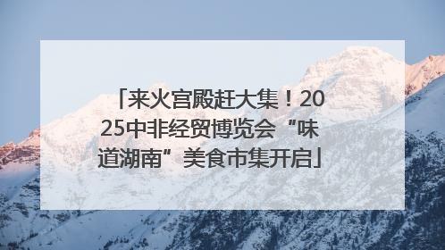 来火宫殿赶大集！2025中非经贸博览会“味道湖南”美食市集开启