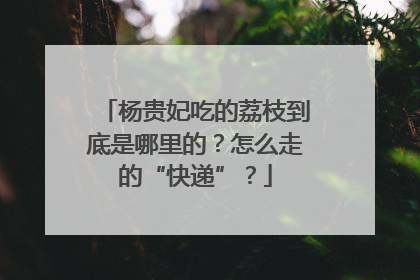 杨贵妃吃的荔枝到底是哪里的？怎么走的“快递”？