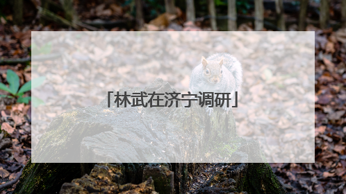 林武在济宁调研