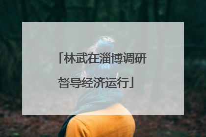 林武在淄博调研督导经济运行