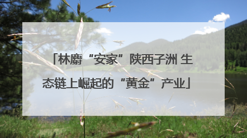 林麝“安家”陕西子洲 生态链上崛起的“黄金”产业