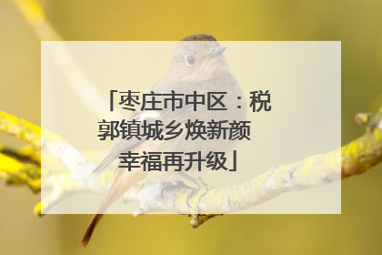 枣庄市中区：税郭镇城乡焕新颜 幸福再升级