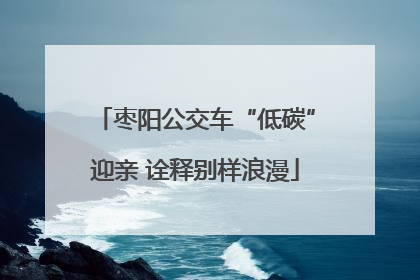 枣阳公交车“低碳”迎亲 诠释别样浪漫