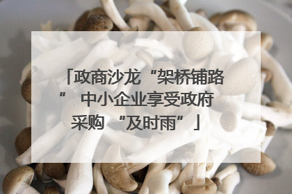 政商沙龙“架桥铺路” 中小企业享受政府采购 “及时雨”