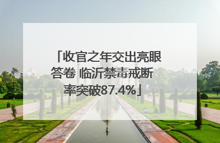 收官之年交出亮眼答卷 临沂禁毒戒断率突破87.4%