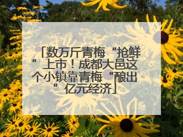 数万斤青梅“抢鲜”上市！成都大邑这个小镇靠青梅“酿出”亿元经济