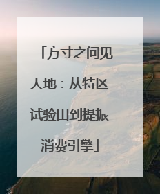 方寸之间见天地：从特区试验田到提振消费引擎