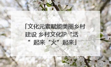 文化元素赋能美丽乡村建设 乡村文化IP“活”起来“火”起来