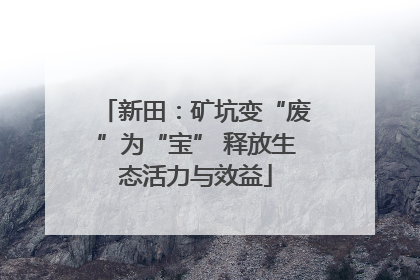 新田：矿坑变“废”为“宝” 释放生态活力与效益