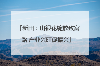 新田：山银花绽放致富路 产业兴旺促振兴