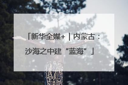 新华全媒+｜内蒙古：沙海之中建“蓝海”