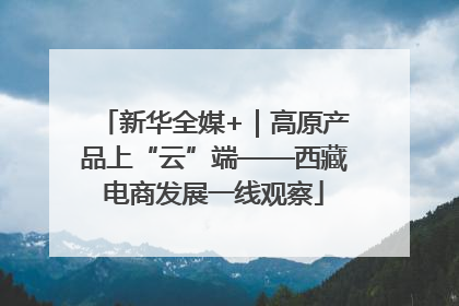 新华全媒+｜高原产品上“云”端——西藏电商发展一线观察