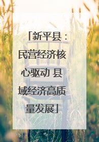 新平县：民营经济核心驱动 县域经济高质量发展
