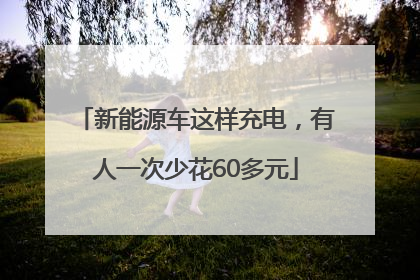 新能源车这样充电，有人一次少花60多元