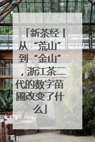 新茶经丨从“荒山”到“金山”，浙江茶二代的数字苗圃改变了什么