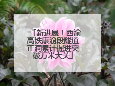 新进展！西渝高铁康渝段隧道正洞累计掘进突破万米大关