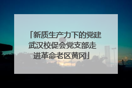 新质生产力下的党建 武汉校促会党支部走进革命老区黄冈