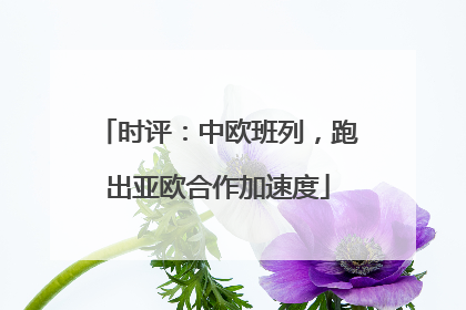 时评：中欧班列，跑出亚欧合作加速度