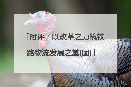 时评：以改革之力筑铁路物流发展之基(图)