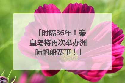 时隔36年！秦皇岛将再次举办洲际帆船赛事！