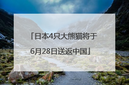 日本4只大熊猫将于6月28日送返中国