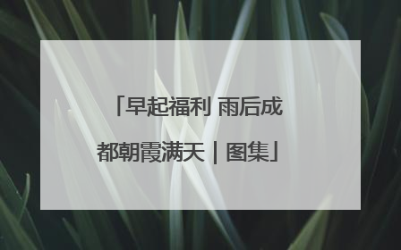 早起福利 雨后成都朝霞满天｜图集
