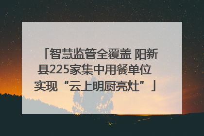 智慧监管全覆盖 阳新县225家集中用餐单位实现“云上明厨亮灶”