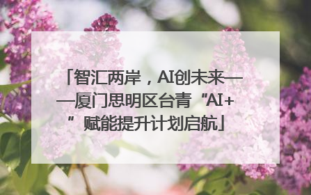 智汇两岸，AI创未来——厦门思明区台青“AI+”赋能提升计划启航
