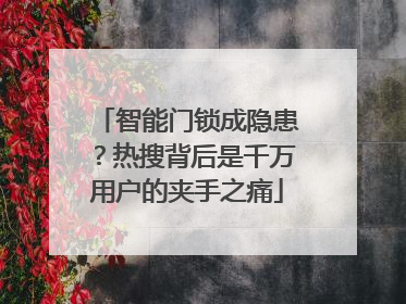 智能门锁成隐患？热搜背后是千万用户的夹手之痛