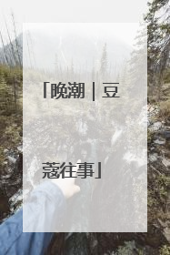 晚潮｜豆蔻往事