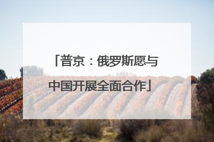 普京：俄罗斯愿与中国开展全面合作