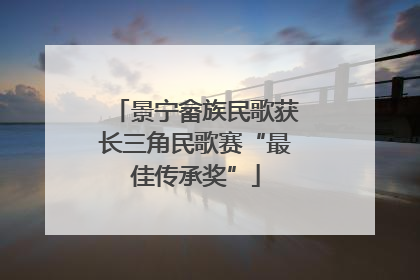 景宁畲族民歌获长三角民歌赛“最佳传承奖”
