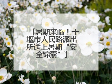 暑期来临！十堰市人民路派出所送上暑期“安全锦囊”