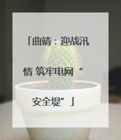 曲靖：迎战汛情 筑牢电网“安全堤”