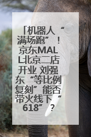 机器人“满场跑”！京东MALL北京二店开业 刘强东“等比例复刻”能否带火线下“618”？
