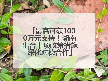 最高可获1000万元支持！湖南出台十项政策措施深化对德合作