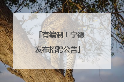 有编制！宁德发布招聘公告