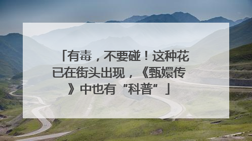 有毒，不要碰！这种花已在街头出现，《甄嬛传》中也有“科普”