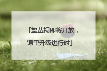 望丛祠即将开放，锦里升级进行时