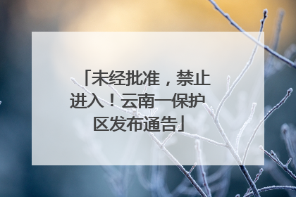 未经批准，禁止进入！云南一保护区发布通告