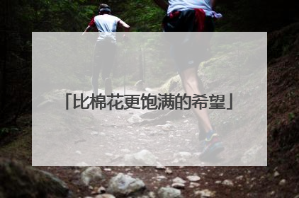 比棉花更饱满的希望