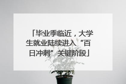 毕业季临近，大学生就业陆续进入“百日冲刺”关键阶段