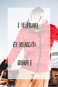 毛伟明在娄底市调研