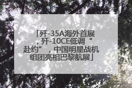 歼-35A海外首展，歼-10CE低调“赴约”，中国明星战机组团亮相巴黎航展