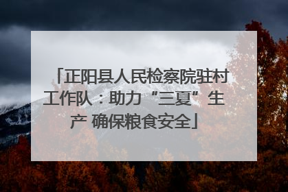 正阳县人民检察院驻村工作队：助力“三夏”生产 确保粮食安全